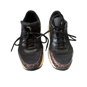 Nike Air Max SC shoes